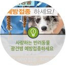 푸른동물종합병원 이미지