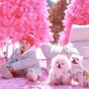 포천관광안내소 | 포천 허브아일랜드 애견동반 가능｜핑크모래존 사진찍기 좋았어요