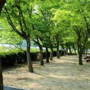 화양동관광농원 이미지