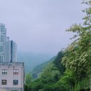 장산 이미지