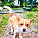 금당아트 밸리 이미지