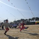 정교초등학교 이미지