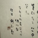 일천구백십구