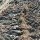 고성농장 이미지