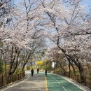 하나붕어빵 네이버블로그