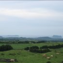 하도목장 이미지