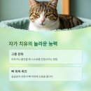 송*의