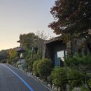 도란도란 그림책 산책 | ✨포레스트 리솜 S25 빌라 숙박 후기: 숲 속 힐링 여행!✨