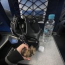 82 | 82💕💸콘서트후기