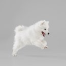 D&C동물병원 이미지