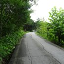 매화마을길 이미지