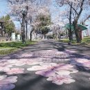 시청 별관 앞 이미지