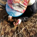 신양아파트경로당 이미지