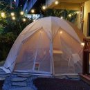 세이스테이 이미지