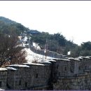 수원-0008 이미지