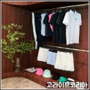 홀썸골프