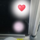 백암동물병원 이미지