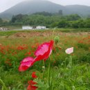 북천수변공원 이미지