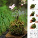 (주)산야초로 이미지