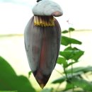 김종기농장 이미지