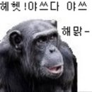 야스