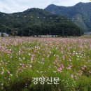 구룡천제방 이미지