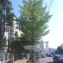 연제구-168 이미지