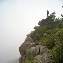 대진농산 | 거창 무룡산