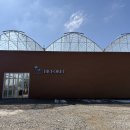 비비정각 앞 | 전주 근교 아이랑 가볼만한 곳 - 카페 먹이주기 체험 놀이터 정읍 비비포레