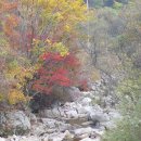 개울건너 이미지