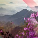 명곡산책ㅡOver Valley And Mountain~ 이미지