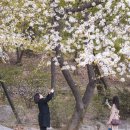 이나