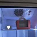 현리한의원 | [가평/청평/현리] 부모님 결혼기념일로 이시모(ISSIMO)에서 레터링 케이크 내돈내산 주문 한 후기->강추!