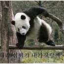 요센 이미지