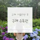수목원 | 구례 가볼만한 곳 | 구례 수목원 후기 | 7월 수국 명소 추천