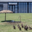 스테이 고요 이미지