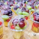 드림153유치원 이미지