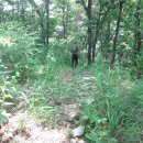 동강막국수