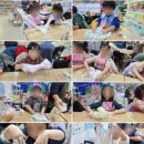 용인대 NO.1 태권도장 이미지