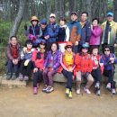 사포초등학교 이미지