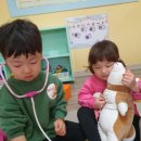 동물벙원 Daum카페