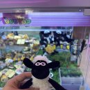 엑스탑오락실 이미지