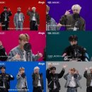 마이딩고 이미지