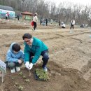 친환경나눔텃밭 이미지