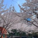 수변로37번길 이미지