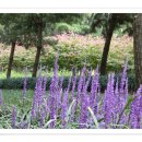 청소년수련관 야외화장실 이미지