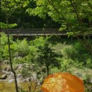 로뎅853-1 이미지