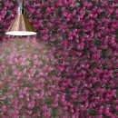 그린인테리어 홈가드닝 이미지