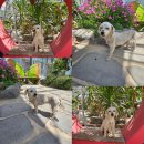 일등마트 이미지