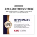카프리카튜닝샵 이미지